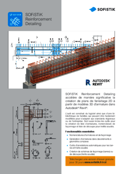 RCD Flyer Rebar Detailing Workflow