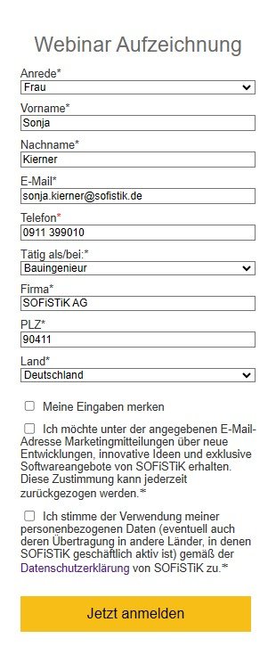 Dummy Formular
